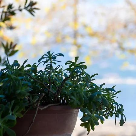 別荘 Seaside House In Agios Vasilios