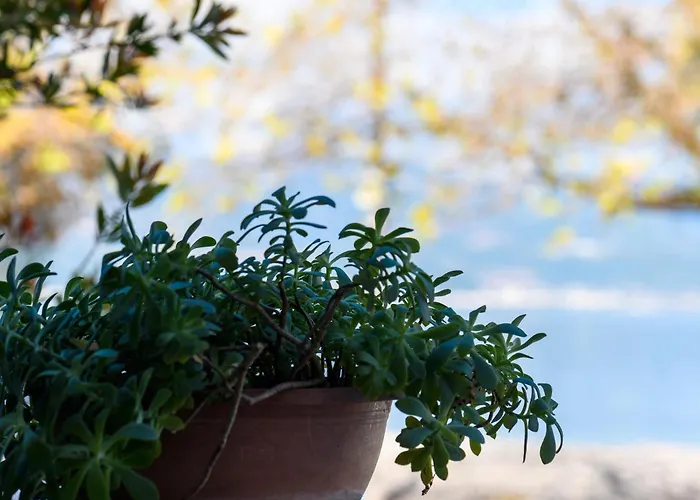 Prázdninový dům Seaside House In Agios Vasilios